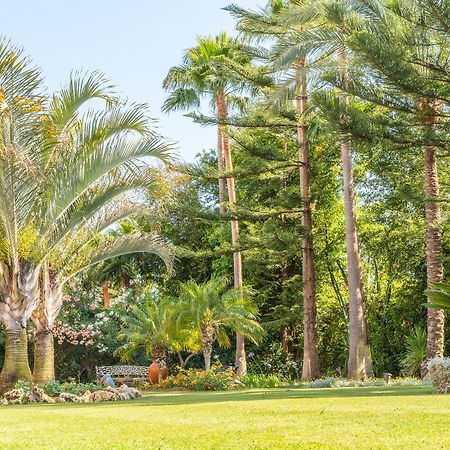 The Grand Oasis Estepona Marbella Dış mekan fotoğraf